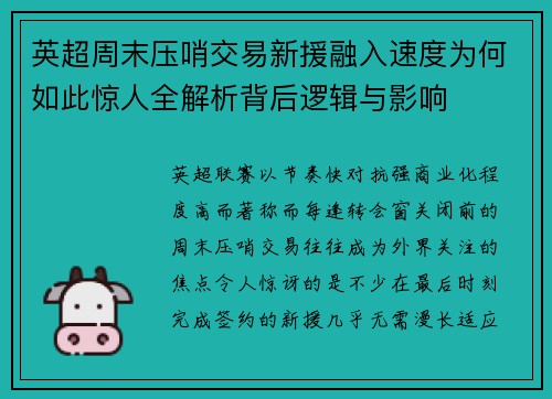 英超周末压哨交易新援融入速度为何如此惊人全解析背后逻辑与影响